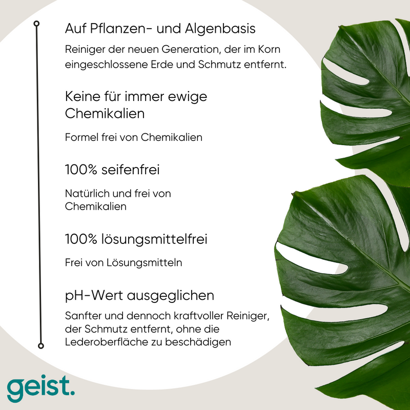 3 Plus Pflegeset für Leder und Kunstleder