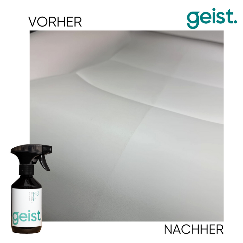 3 Plus Pflegeset für Leder und Kunstleder