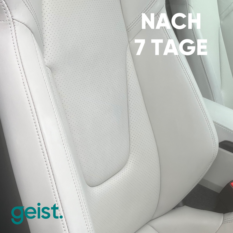 Tinten- und Farbstoffentferner 200 ml